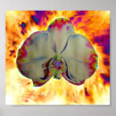 Search for floral fun posters Tropical