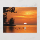 Search for tree key postcards Key west florida