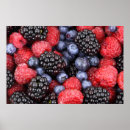 Search for blackberry art Photography