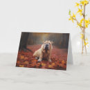 Search for shar pei cards Pet