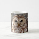 Search for barred owl mugs Animals