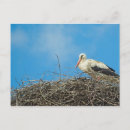 Search for storks postcards Nest