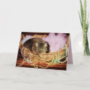 Search for cat basket cards Feline