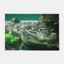 Search for alligator garden decor Nature