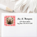 Search for red cat return address labels Dog