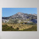 Search for cropped art Scene