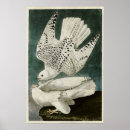 Search for vintage iceland posters Illustration