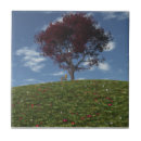 Search for resting tiles Flowers