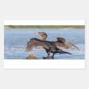 Search for wing rectangle stickers Bird
