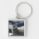 Search for alaska state key rings Seal