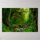 Search for amazon jungle posters Forest