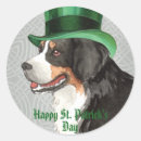 Search for berner stickers Bernese mountain dog