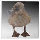 Search for duck and duckling tiles Cute