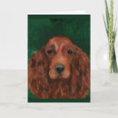Search for red setter cards Irish