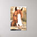 Search for horse canvas prints Animals