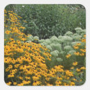 Search for rudbeckia stickers Garden