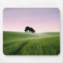 Search for border mousepads Dog