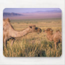 Search for unusual mousepads Nature