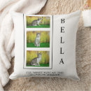 Search for pet memorial cushions Rainbow bridge