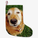 Search for puppy christmas stockings Golden retriever