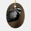Search for woodpecker christmas tree decorations Wildlife