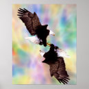 Search for digital realism art Bird