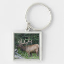 Search for environment square key rings Fauna