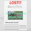 Search for missing flyers Cat