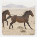 Search for wild horses stickers Mammal
