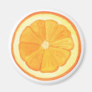Search for lemonade magnets Citrus