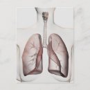 Search for larynx Human body parts