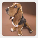 Search for hound dog stickers Puppy