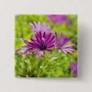 Search for green daisy badges Floral