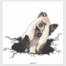 Search for funny mini laptop cases Pet