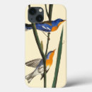 Search for audubon ipad cases Birds of america