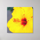 Search for macro canvas prints Bloom