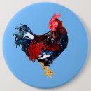 Search for roosters badges Cockerel