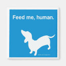 Search for doxie magnets Funny