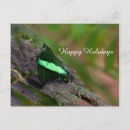 Search for insect christmas cards Nature