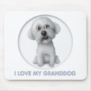 Search for bichons mousepads Puppies