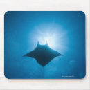 Search for underwater animals mousepads Low angle view