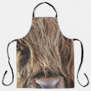 Search for highland cows aprons Nature
