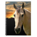 Search for horse notebooks Buckskin