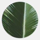 Search for palm fronds stickers Nature