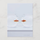 Search for separates postcards Animal