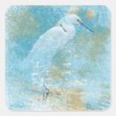 Search for beach bird stickers Coastal