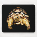Search for leopard mousepads Nature