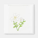 Search for easter lily magnets Lilies