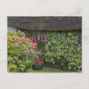 Search for limerick postcards Irish