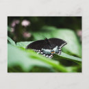 Search for garden state postcards Nature